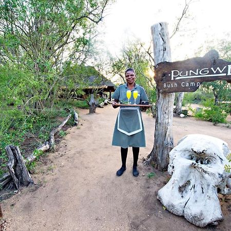 Villa Pungwe Safari Camp Manyeleti Game Reserve Exterior foto