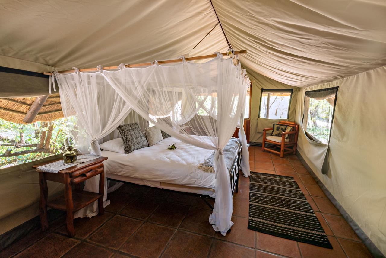 Villa Pungwe Safari Camp Manyeleti Game Reserve Exterior foto